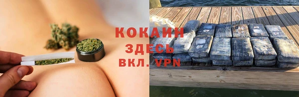 PSILOCYBIN Бронницы