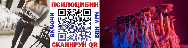 Галлюциногенные грибы Psilocybe  блэк спрут   Вязьма 