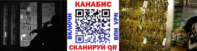 где найти   Вязьма  Бошки марихуана SATIVA & INDICA 